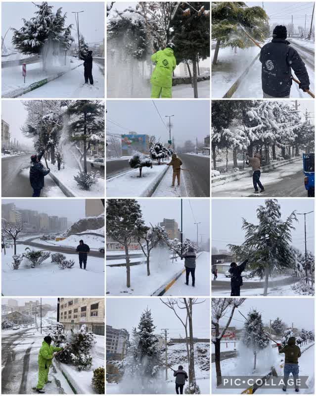 اجراي عمليات برف روبي پارك ها و برف تكاني از درختان شهر رودهن