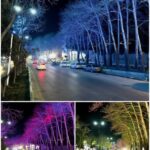 اجراي طرح نور پردازي درختان ورودي شهر رودهن